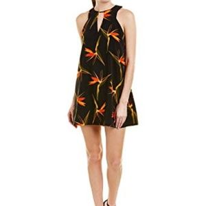 J.O.A. Black & Orange Tropic Shift Dress